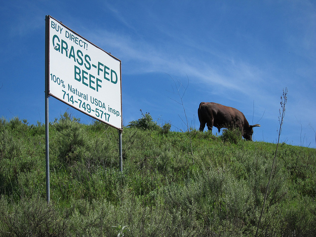 Grass Feed Beef