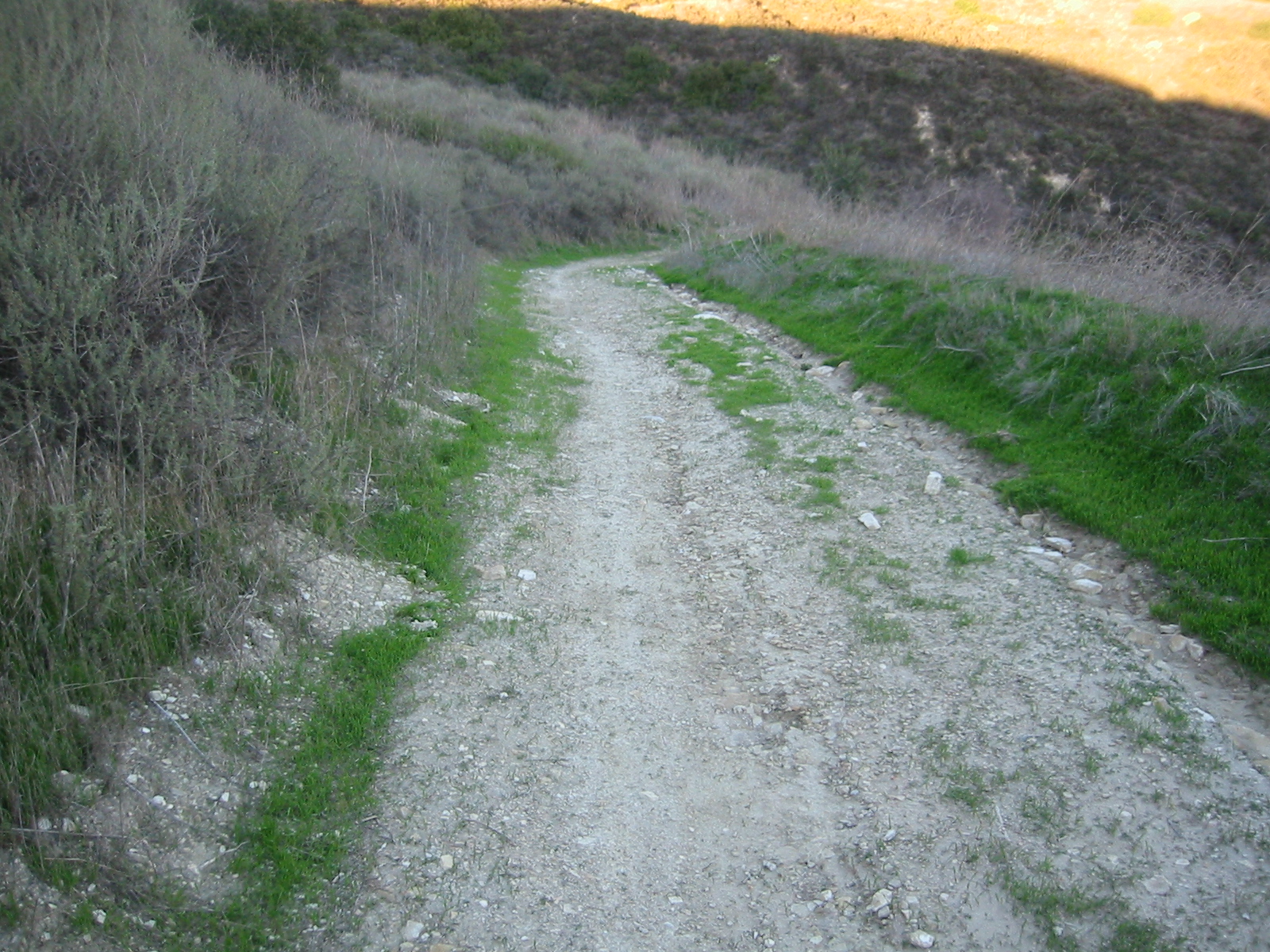 Green trail